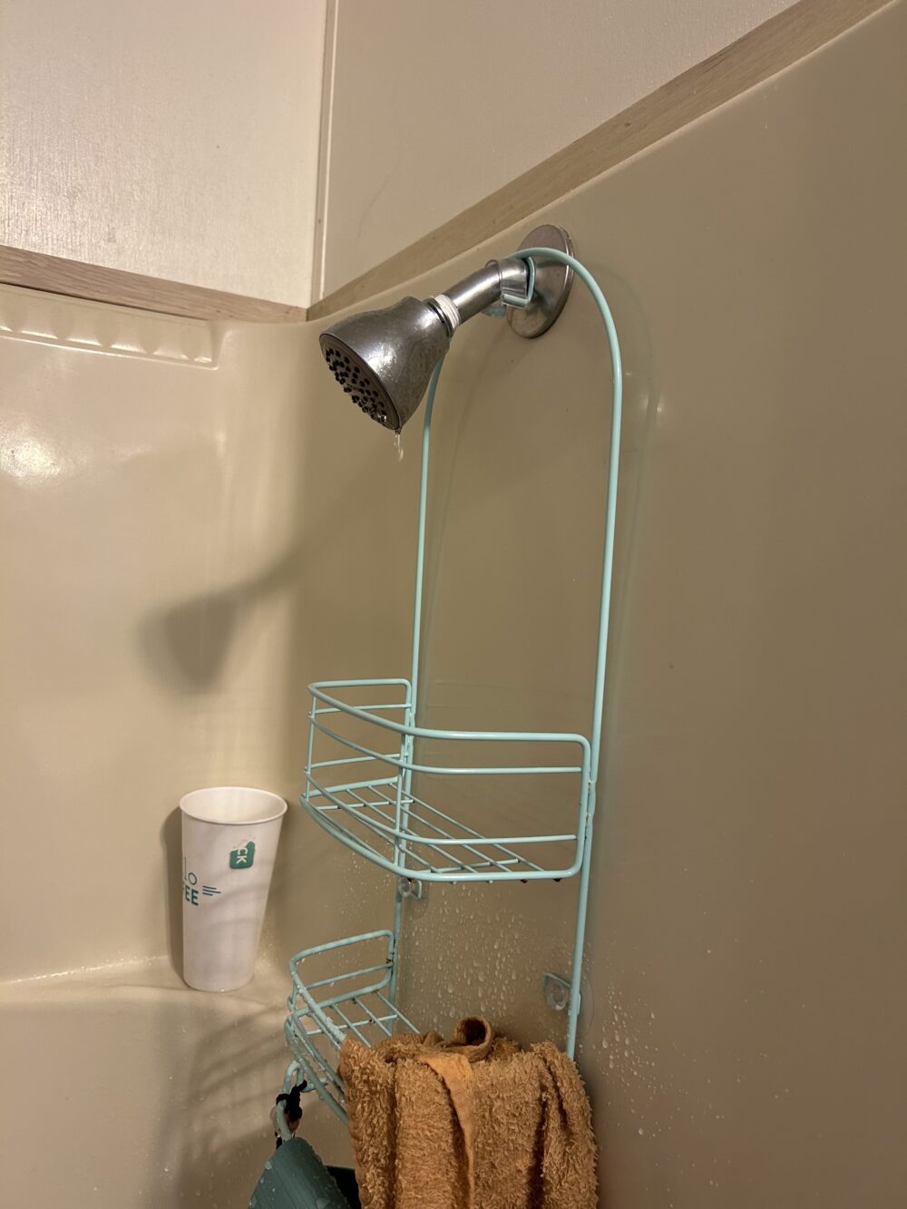 shower repairs in aspen