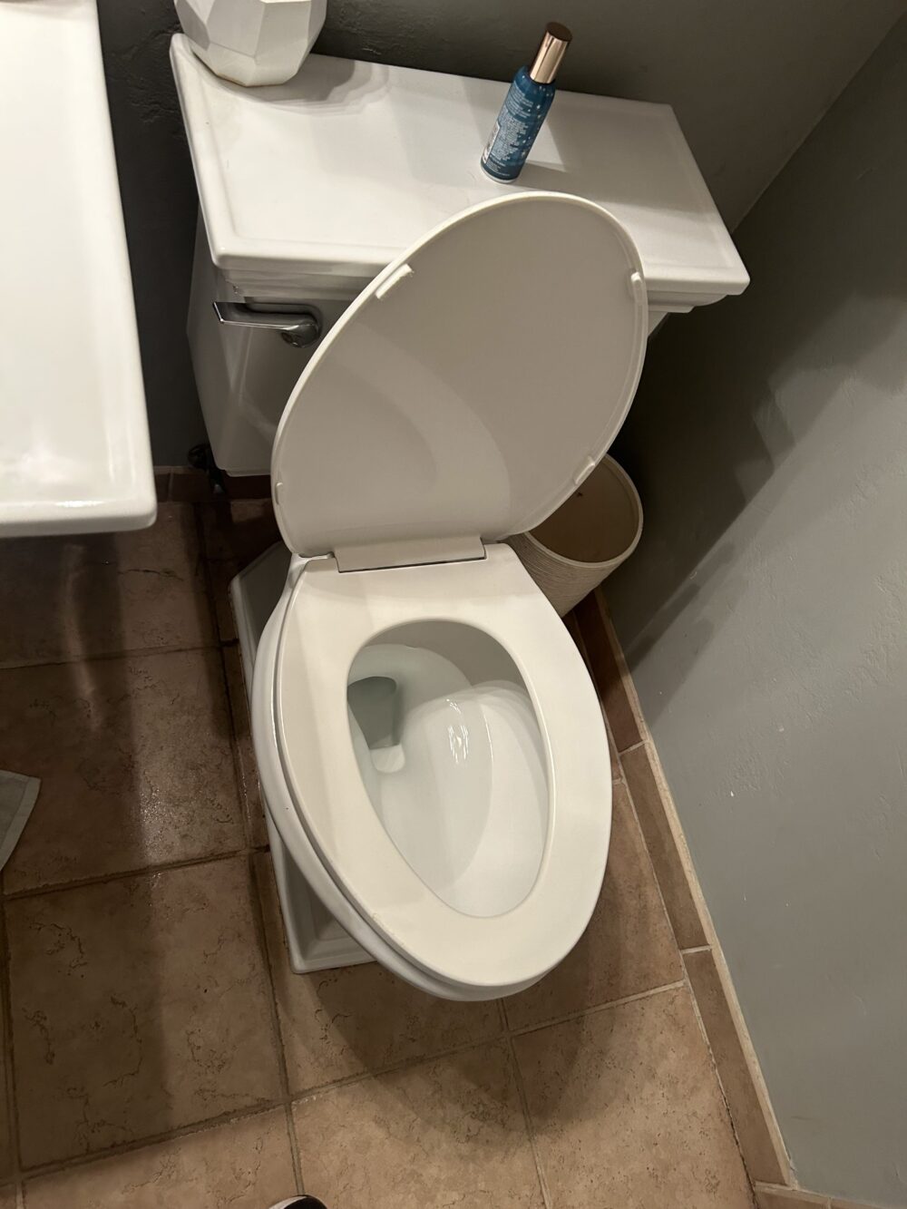 toilet repairs in aspen