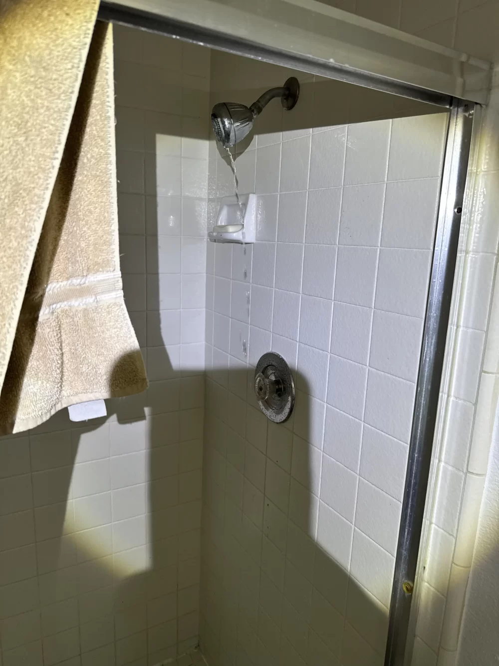 Shower Faucet Leak Repair In Lakewoodco