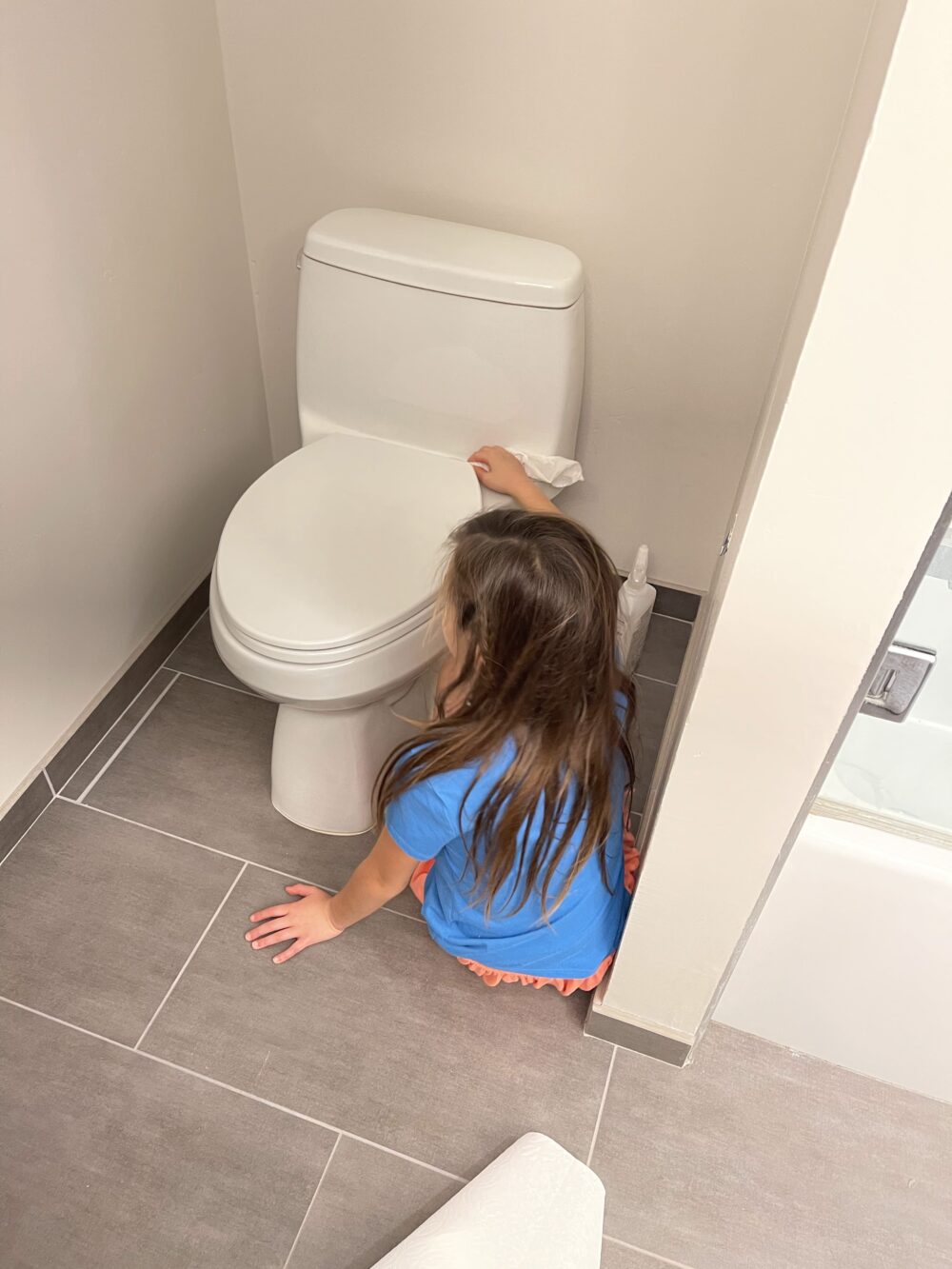 toilet repair arvada